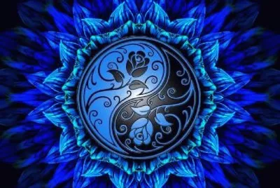 Textura de la flor .jpg