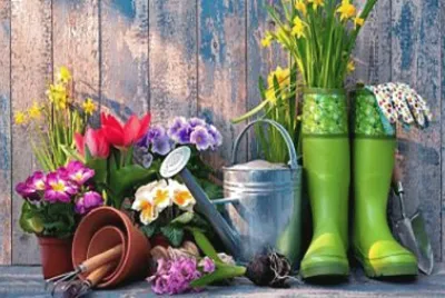 jardin jigsaw puzzle