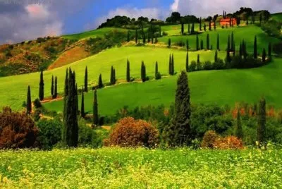 imagens jigsaw puzzle