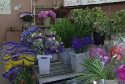Flower Market-San Francisco, CA