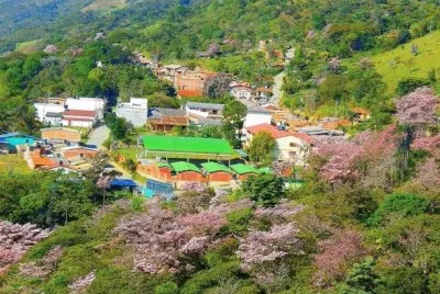 aguada jigsaw puzzle