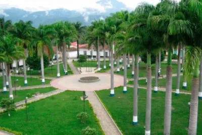 Guadalupe jigsaw puzzle