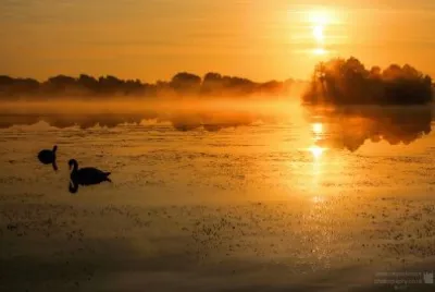 Dawn mist jigsaw puzzle