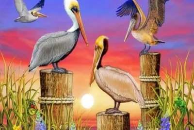 Arte Digt,Esplendor_Pelicanos
