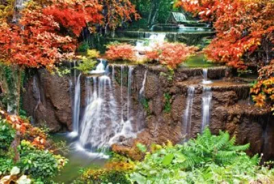 Natureza jigsaw puzzle