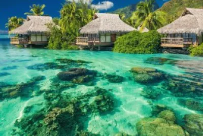 Natureza jigsaw puzzle