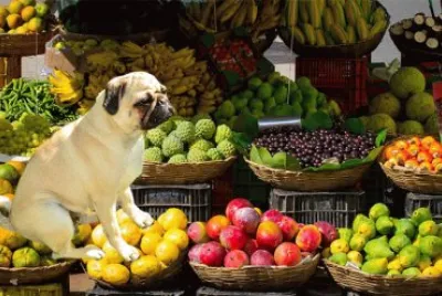 Chien jigsaw puzzle