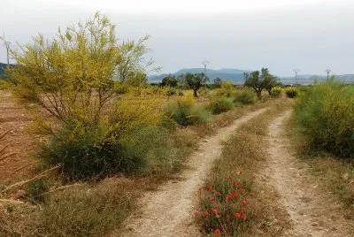 paisaje jigsaw puzzle