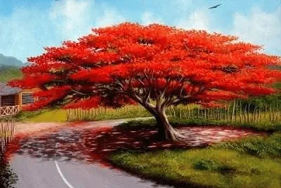 NATUREZA jigsaw puzzle
