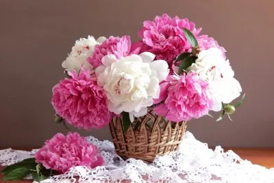 Fotografico-Flor jigsaw puzzle