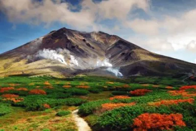 imagens jigsaw puzzle