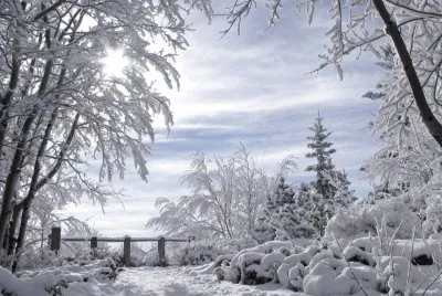 imagens jigsaw puzzle