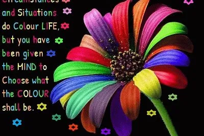 lily6 jigsaw puzzle