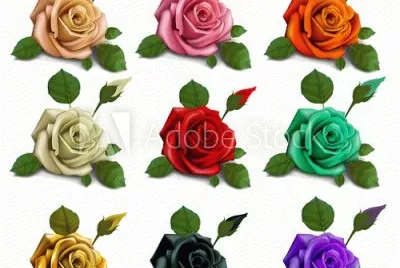 FOTO jigsaw puzzle