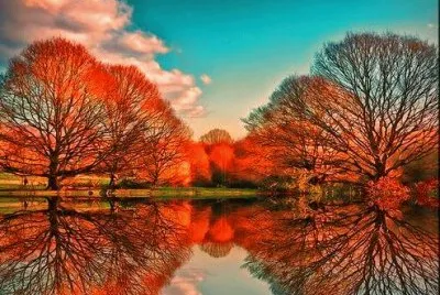 lake color jigsaw puzzle
