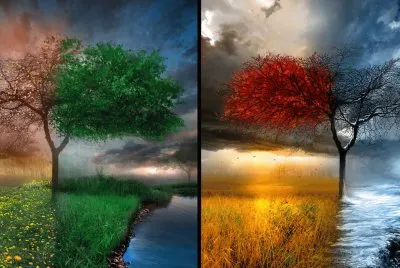 Arte Digt-Estaciones... jigsaw puzzle