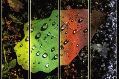 Arte Digt-Estaciones. jigsaw puzzle