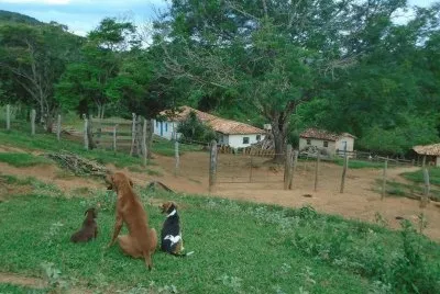 Gardiões da Fazenda