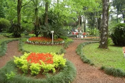 En Montecarlo. Misiones. Argentina jigsaw puzzle