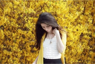 flores amarillas jigsaw puzzle