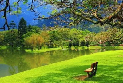 imagens jigsaw puzzle