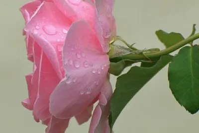 imagens jigsaw puzzle