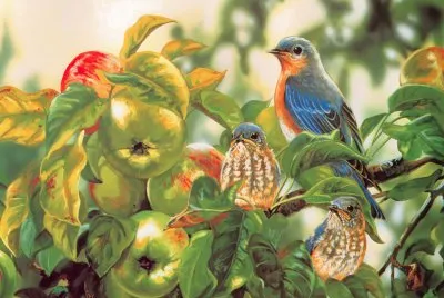 Artistico- Aves