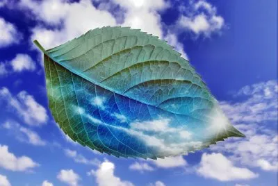 ArtÃ­stico -Hoja,Nubes jigsaw puzzle