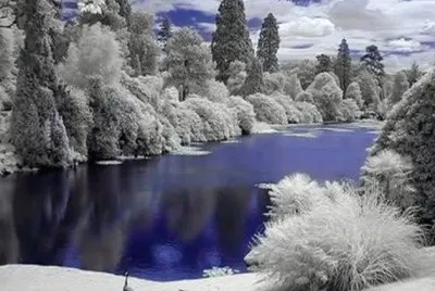 imagens jigsaw puzzle