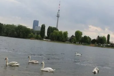 The Blue Danube