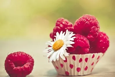 Alimento-Frambuesa jigsaw puzzle