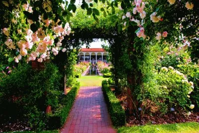 todo paisaje jigsaw puzzle