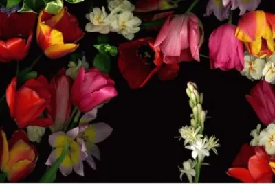 primavera jigsaw puzzle