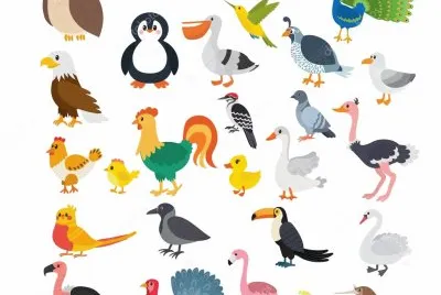 aves