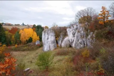 NATUREZA jigsaw puzzle