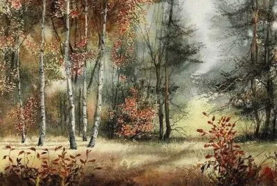 todo paisaje jigsaw puzzle