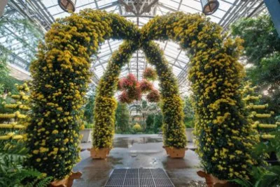 imagens jigsaw puzzle