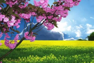 imagens jigsaw puzzle