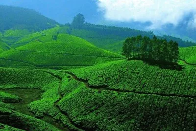 imagens jigsaw puzzle