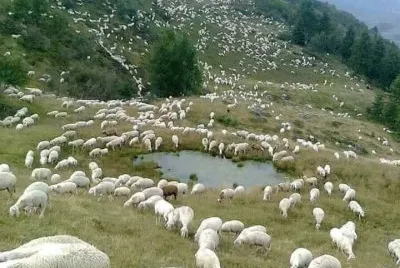 imagens jigsaw puzzle