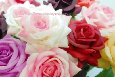 Flores jigsaw puzzle