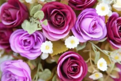 Flores jigsaw puzzle