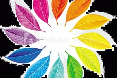 FOTO jigsaw puzzle