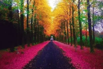 פאזל של todo paisaje