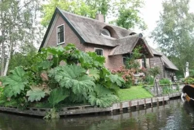 פאזל של todo paisaje