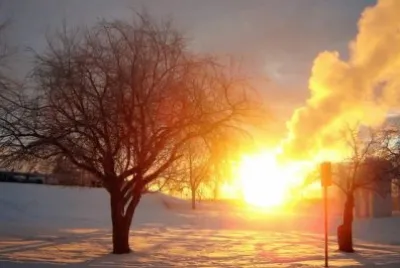 פאזל של NATUREZA