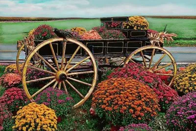 imagens jigsaw puzzle