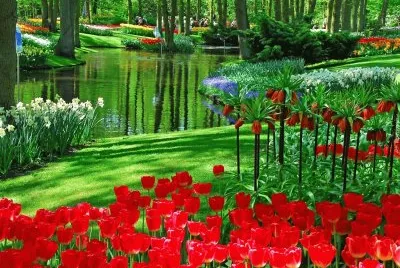 spring-169 jigsaw puzzle