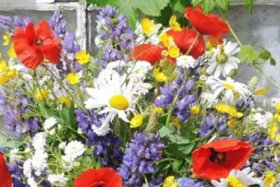 Midsummer flowers jigsaw puzzle