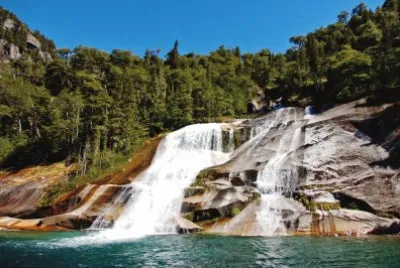 En Puerto Blest. Provincia de RÃ­o Negro. Argentina jigsaw puzzle